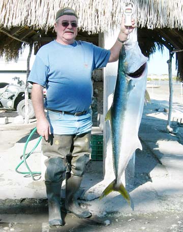 Santa Rosalia Mexico Yellowtail Fishing Photo 1