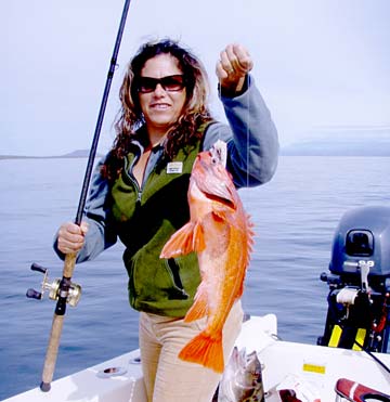 San Quintin Mexico Rockcod Fishing Photo 1