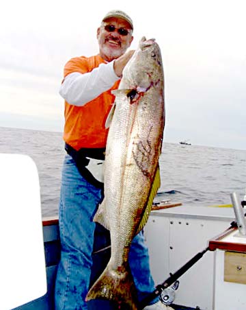 San Carlos Mexico White Seabass Fishing Photo 1