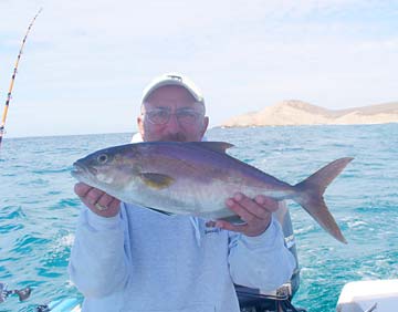 Cabo San Lucas Mexico Amberjack Fishing Photo 1