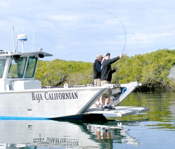 Magdalena Bay Mexico Fishing Photo 1