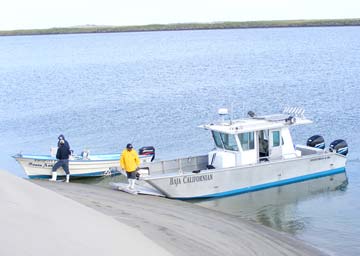 Magdalena Bay Mexico Fishing Photo 3