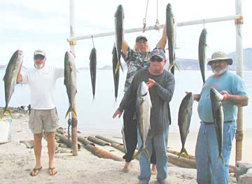 Bahia de los Angeles Mexico Fishing Photo 1