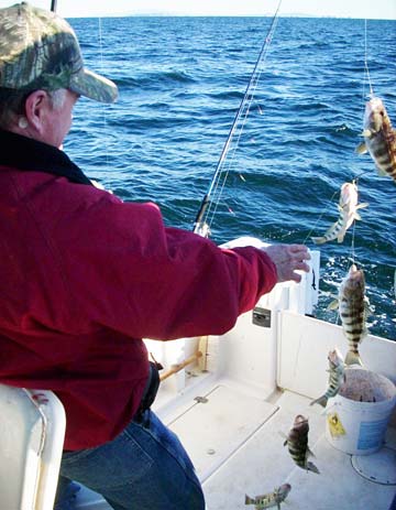 Rocky Point Mexico Fishing Photo 2