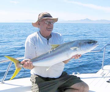 Loreto Mexico Yellowtail Fishing Photo 1