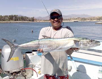 San Jose del Cabo Mexico Sierra Fishing Photo 1