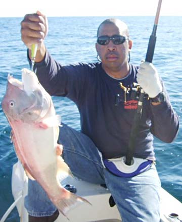 Rocky Point Mexico Sheephead Fishing Photo 1