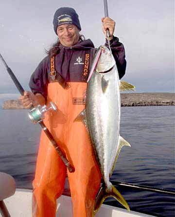 Santa Rosalia Mexico Yellowtail Fishing Photo 1