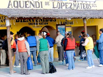 Magdalena Bay Mexico Whale Watching Photo 2