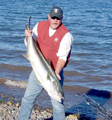 Loreto Mexico Yellowtail Photo 1