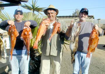 San Quintin Mexico Fishing Photo 1