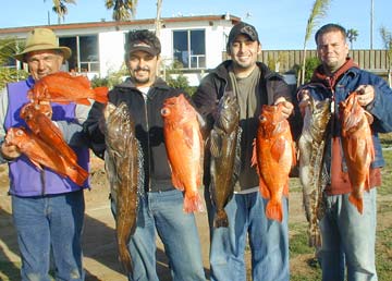 San Quintin Mexico Bottom Fishing Photo 1