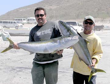 La Paz Mexico Yellowtail Panga Fishing Photo 2