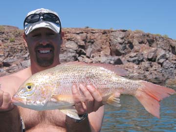 Cabo La Costilla Mexico Spotted Rose Snapper Photo 1