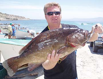 La Paz Mexico Leopard Grouper Photo 1