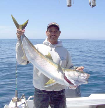 Isla Tortuga Mexico Yellowtail Fishing Photo 1