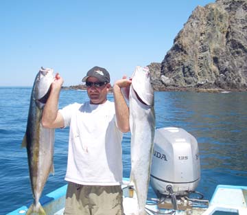 Isla Cerralvo Mexico Yellowtail Fishing Photo 1