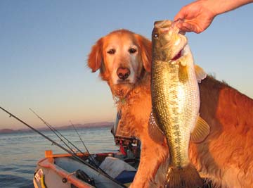 Lake Obregon Mexico Bass Fishing Photo 1