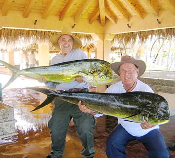 San Jose del Cabo Mexico Dorado Fishing Photo 1