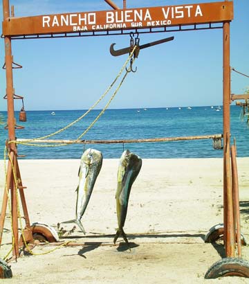 Rancho Buena Vista Mexico Old Fish Rack Photo 1