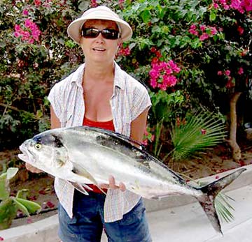 Loreto Mexico Roosterfish Photo 1