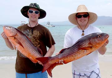 La Paz Mexico Mullet Snapper Fishng Photo 1