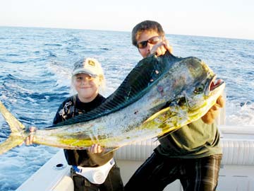 Bull dorado caught during fishing at San Carlos, Mexico.