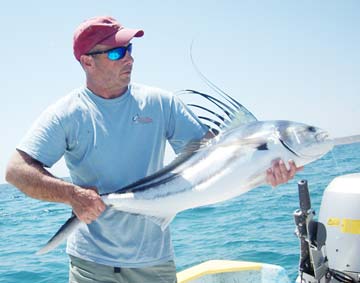 Roosterfish being released during sportfishing at La Paz, Mexico.