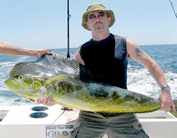 Dorado caught at Cabo San Lucas, Mexico.