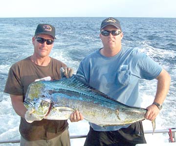 Big mahi mahi caught at San Carlos, Sonora, Mexico.