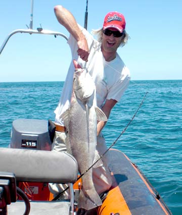 Totoaba caught in the Sea of Cortez, Mexico.