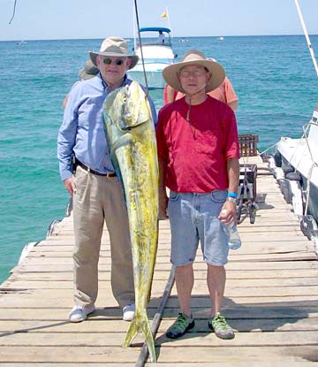 Dorado fishing at East Cape, Mexico.