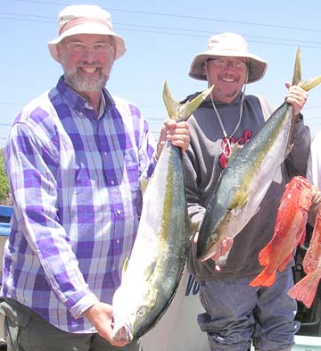 Yellowtail fishing at Ensenada, Mexico. 3