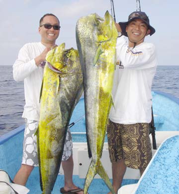 Dorado fishing at La Paz, Mexico.