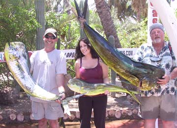 Dorado caught at Hotel Oasis, Loreto, Mexico.