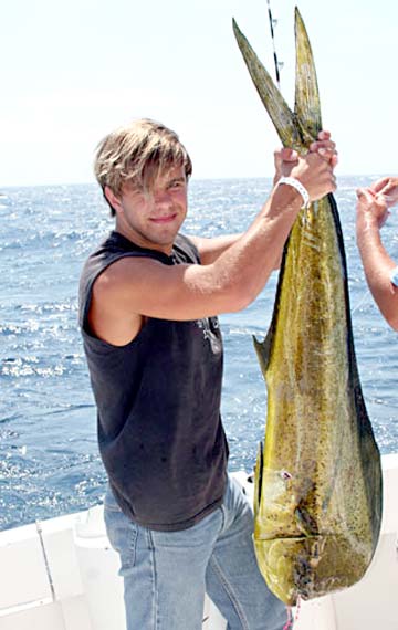 Dorado fishing at Buena Vista Beach Resort, Mexico.