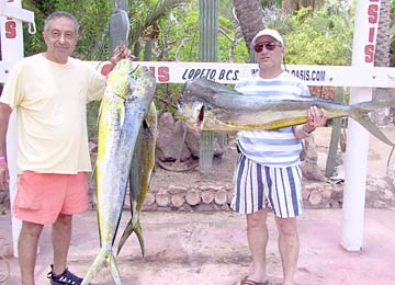 Dorado fishing at Hotel Oasis, Loreto, Mexico.