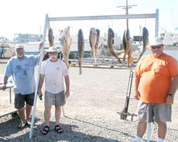 Rocky Point fishing, Mexico.