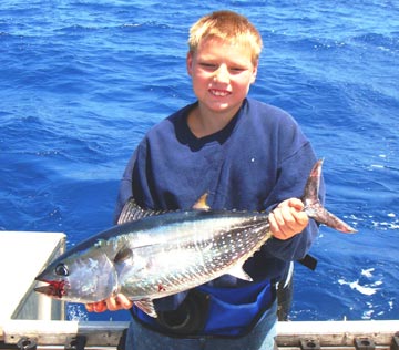 Bluefin tuna fishing at San Quintin, Mexico.