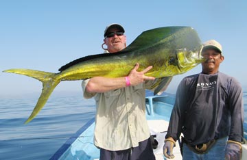 Big mahi mahi caught at Loreto, Mexico.