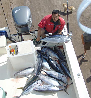 San Quintin, Mexico fishing photo 1