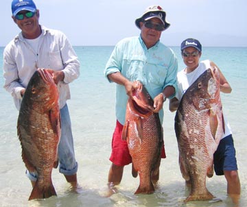 La Paz, Mexico fishing photo 3