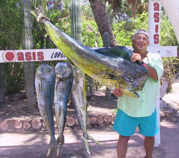 Loreto, Mexico dorado fishing photo. 3