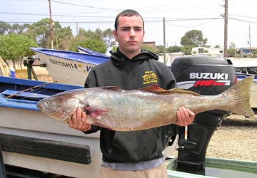 White seabass fishing at Ensenada, Mexico. 2