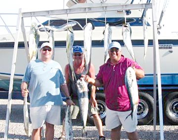 Dorado or mahi mahi caught at Rocky Point, Mexico.