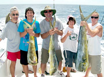 Dorado or mahi mahi caught at San Carlos, Mexico.