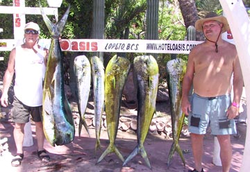 Dorado fishing, Loreto, Mexico. 3