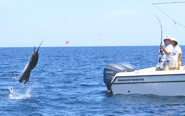 Loreto, Mexico fishing photo 1