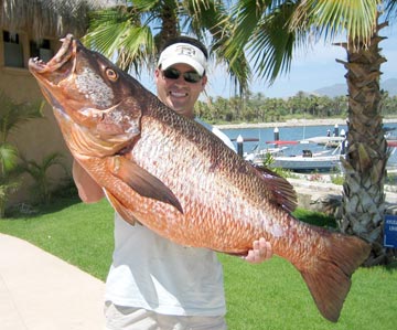 San Jose del Cabo, Mexico fishing photo 2