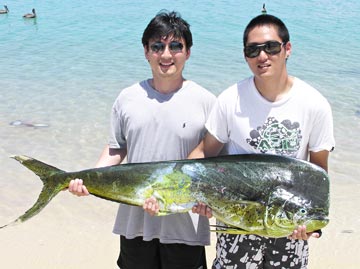 La Paz, Mexico fishing photo 3